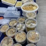 نمایشگاه رئوف در شهرک شهید بهشتی